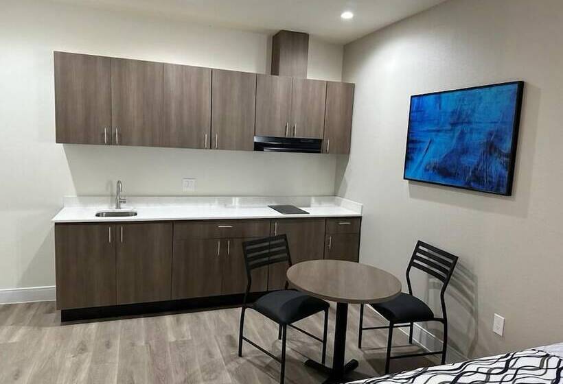 בית מלון כפרי Palace Inn Blue Jones Road & Fm1960