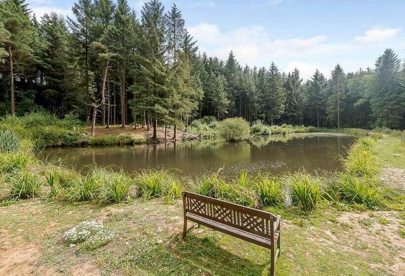 בית מלון כפרי Remarkable 3 Bed Lodge In Honiton