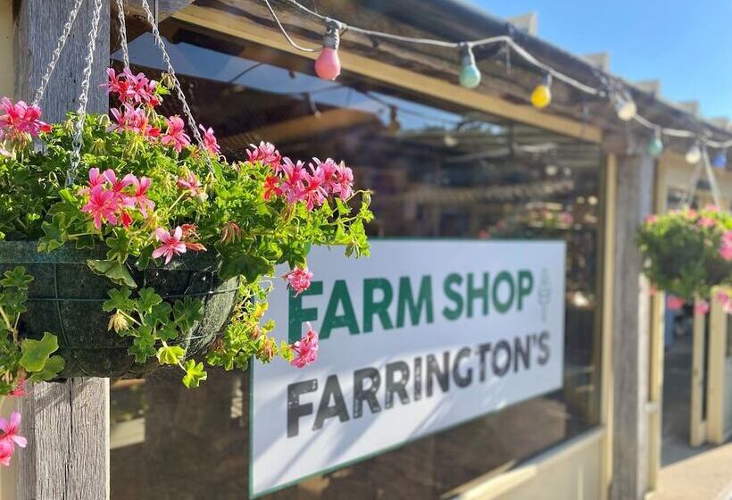 田舎風ホテル Nine Yards Farrington S Family Glamping