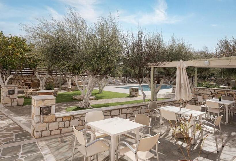 ホテル Sunset Paros Naousa