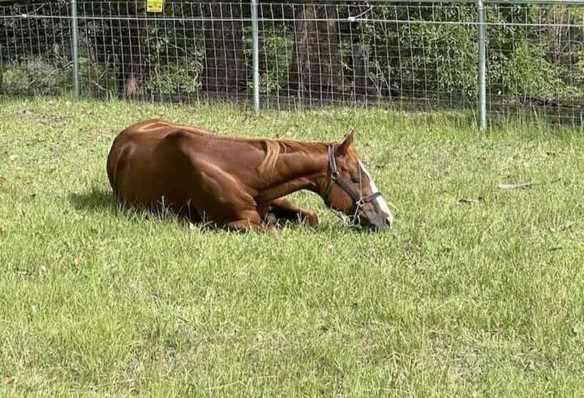 Krishna Farm Retreat