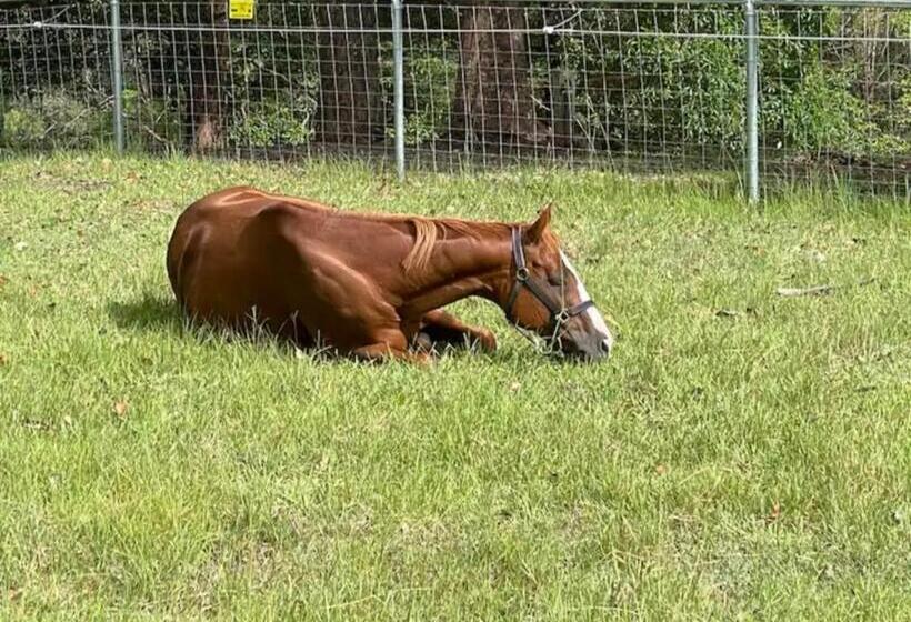 Krishna Farm Retreat