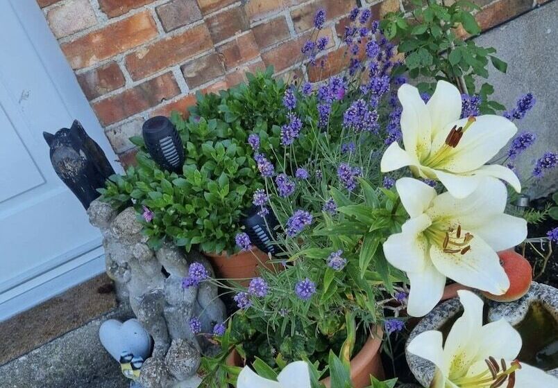 Glamping Cabin   Great For Hikers   Breakfast Inc!