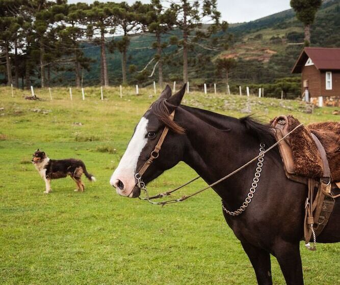 Recanto Das águas   Urubici   Sc