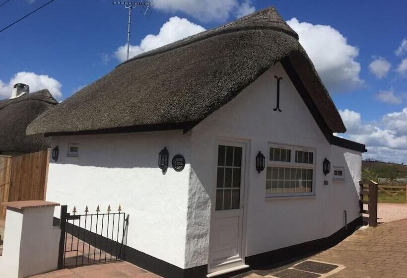 Thatched Cottage Annex In Stokeinteignhead