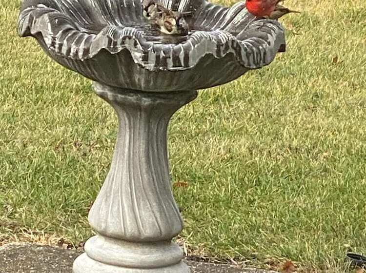 مبيت وإفطار Arbor Rose Boutique