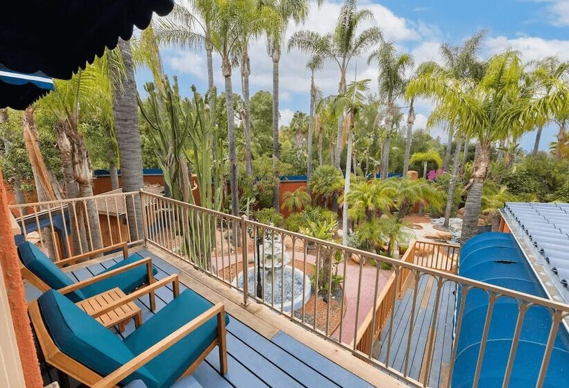 Cactus House By Avantstay Famous Cactus Compound