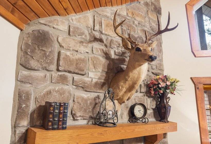 Creekside   2 Bdr Resort Cabin In Epic Location!