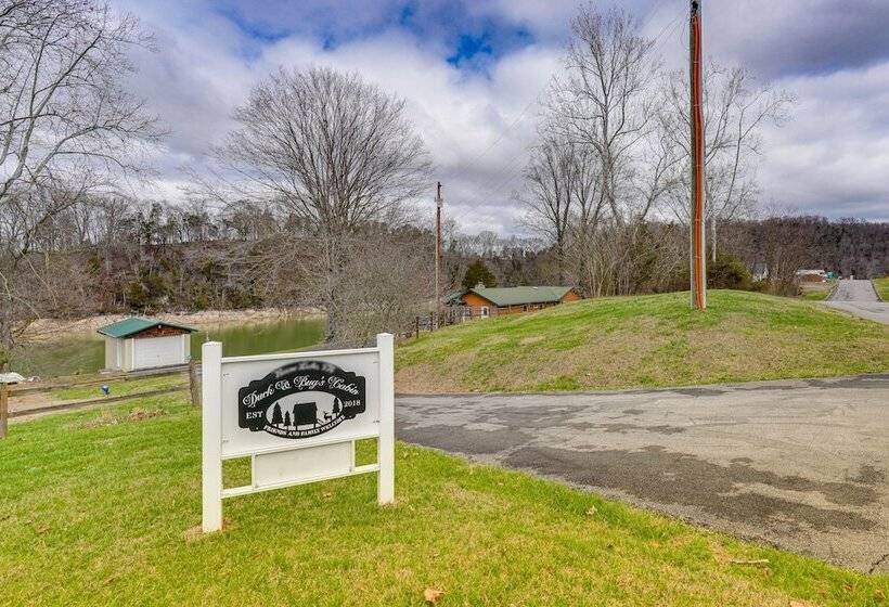 Duck And Bug S Cabin  On Boone Lake W/ Boat Dock!