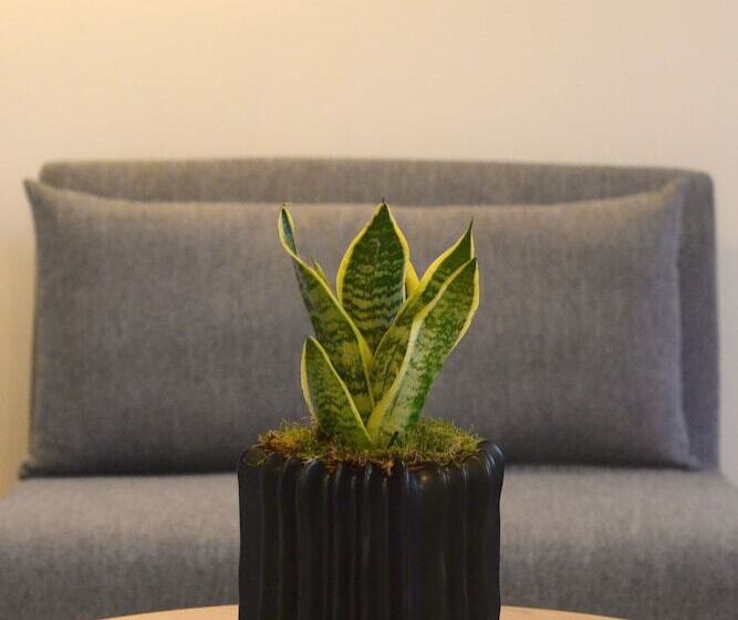 Giustiniani Apartments