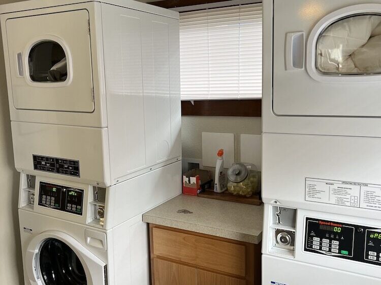 פונדק Counting Z S