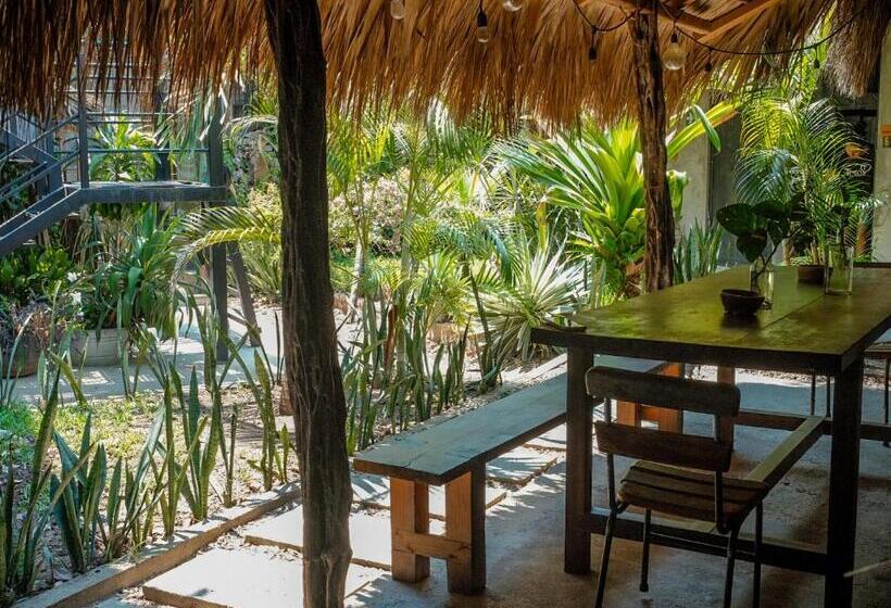 여관 La Escondida H