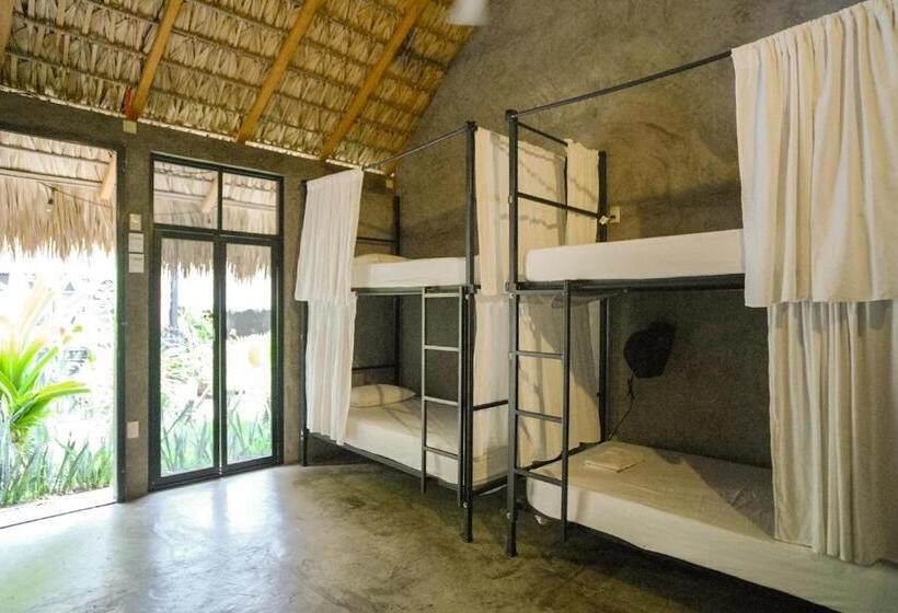 여관 La Escondida H