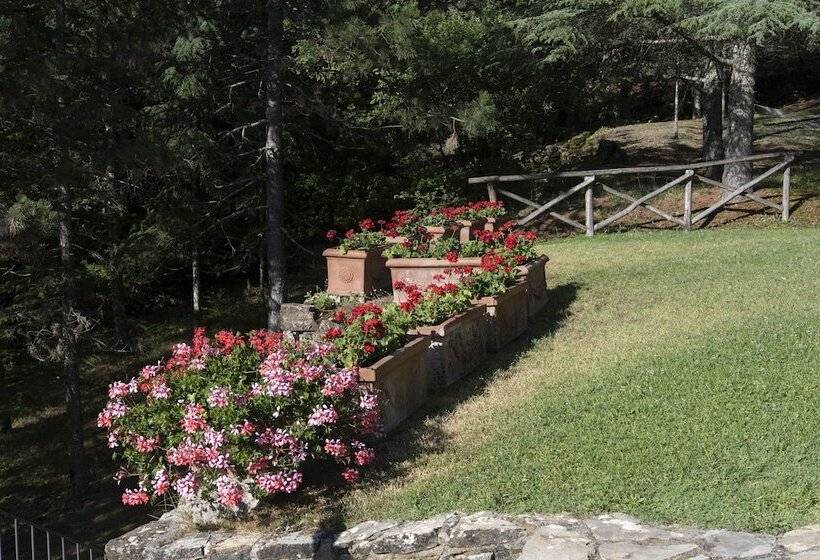 Хостел Tenuta Di Camporsevoli