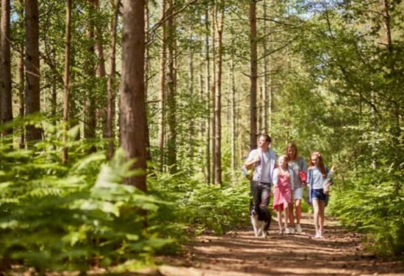 ホテル 2 Bed 6 Berth Lodge In Shorefield Oakdene Dorset