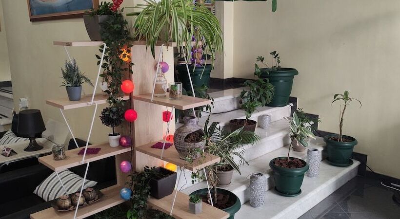 בית מלון כפרי El Greco