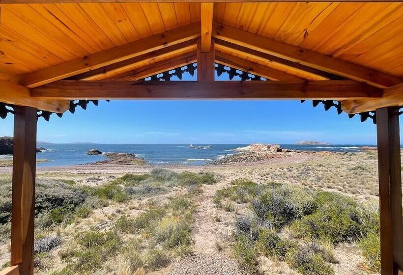 Hotel Leones Camps Island