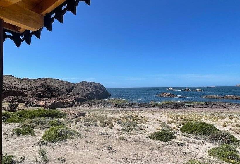 Hotel Leones Camps Island