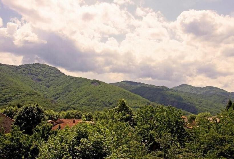 酒店 Hôtel Restaurant Les Marronniers