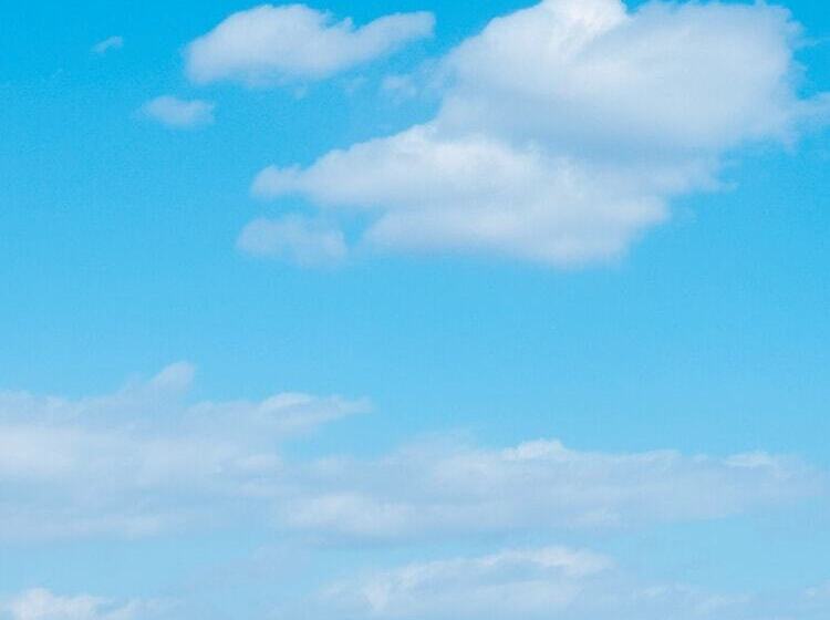 בית מלון כפרי Inuyama City