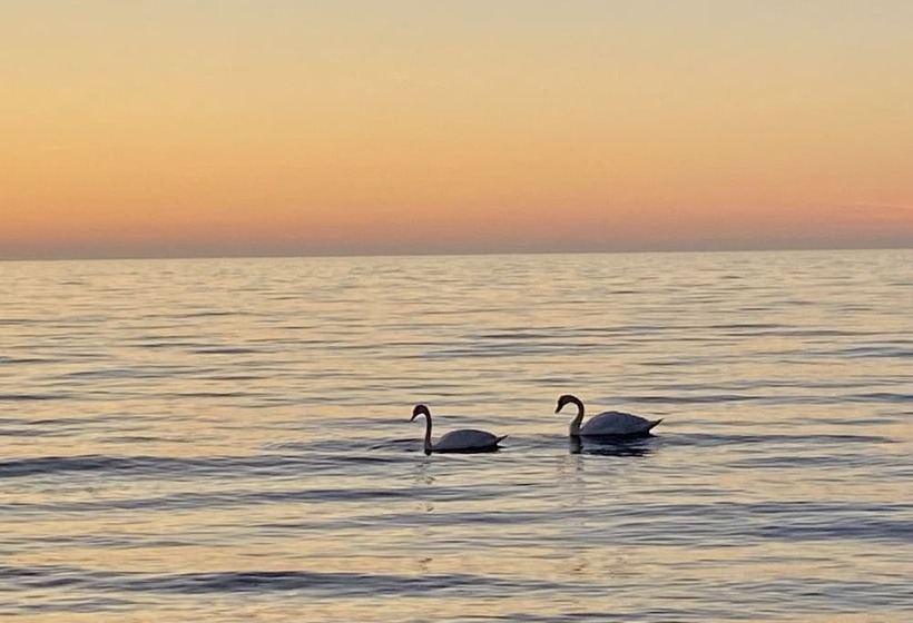 فندق Liseleje Bade