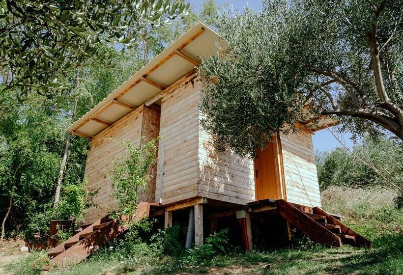 בית מלון כפרי Ljubac Glamping Belltent Robinson