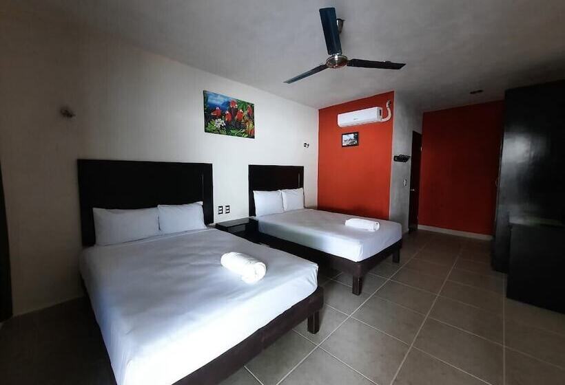 ホテル Luna Turquesa Bacalar  Free Kayaks