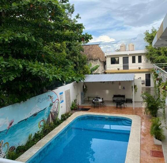 ホテル Luna Turquesa Bacalar  Free Kayaks