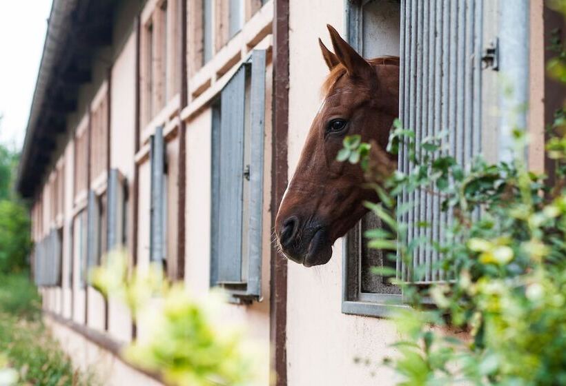 Отель Project June