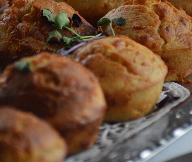 בית מלון כפרי Project June