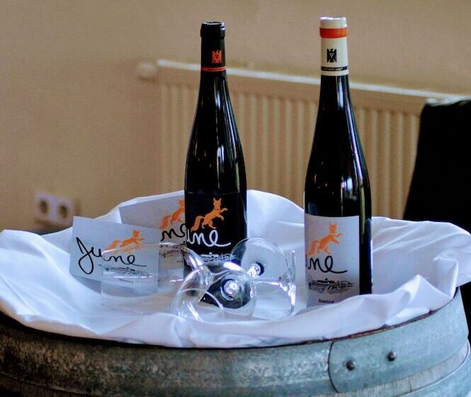 בית מלון כפרי Project June