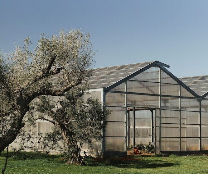 בית מלון כפרי Secolario Masseria Del Viverbene