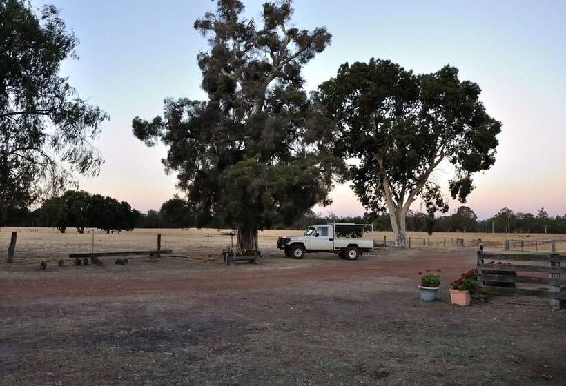 בית מלון כפרי Wilga Farm Stay