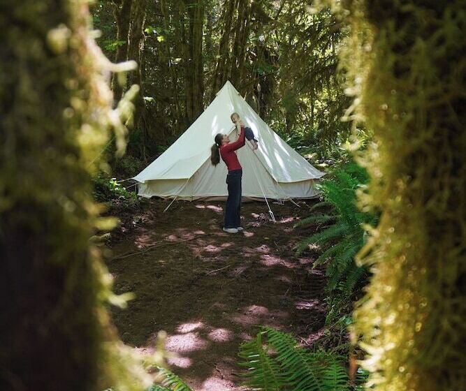 فندق Wander Camp Olympic