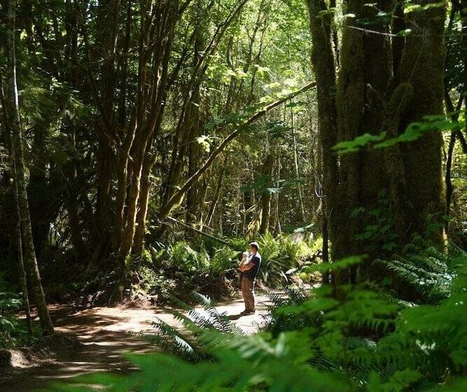 فندق Wander Camp Olympic