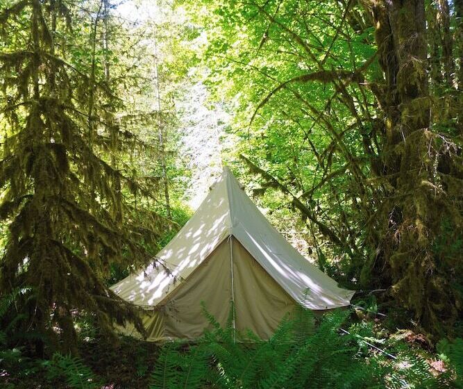 فندق Wander Camp Olympic