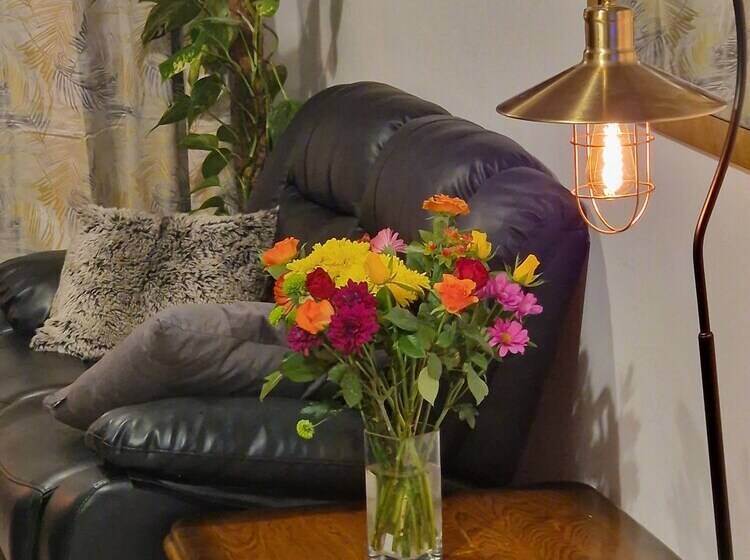 Отель Steyn Guest Lodge