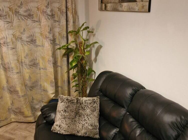 Отель Steyn Guest Lodge