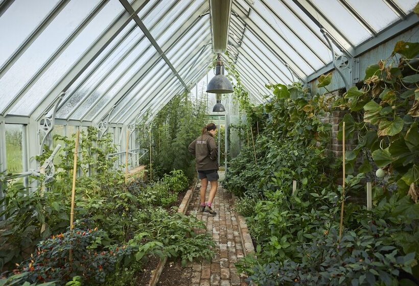 فندق The Pig At Harlyn Bay   Cornwall