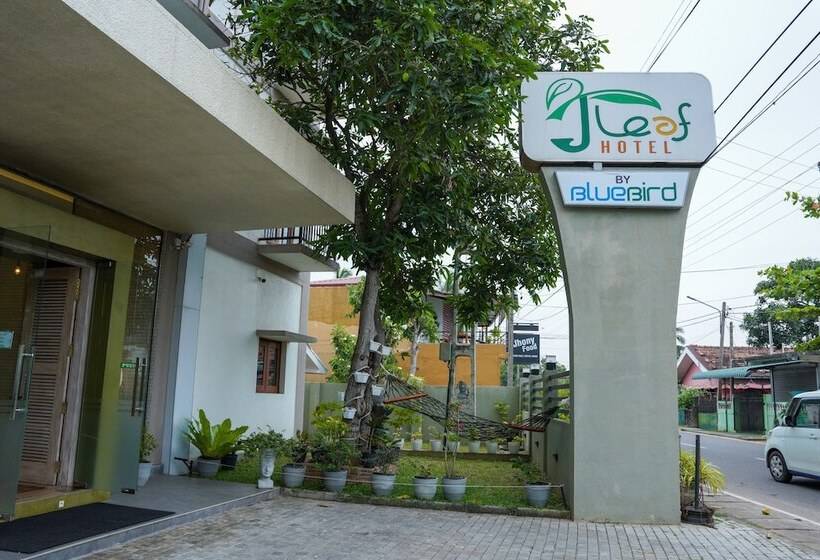 J Leaf Hotel By Blue Bird
