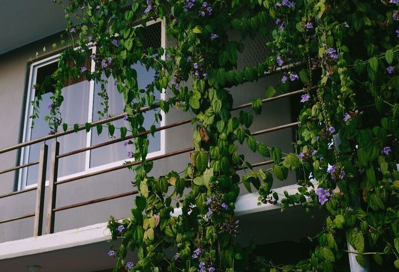 مسافرخانه La Escondida H