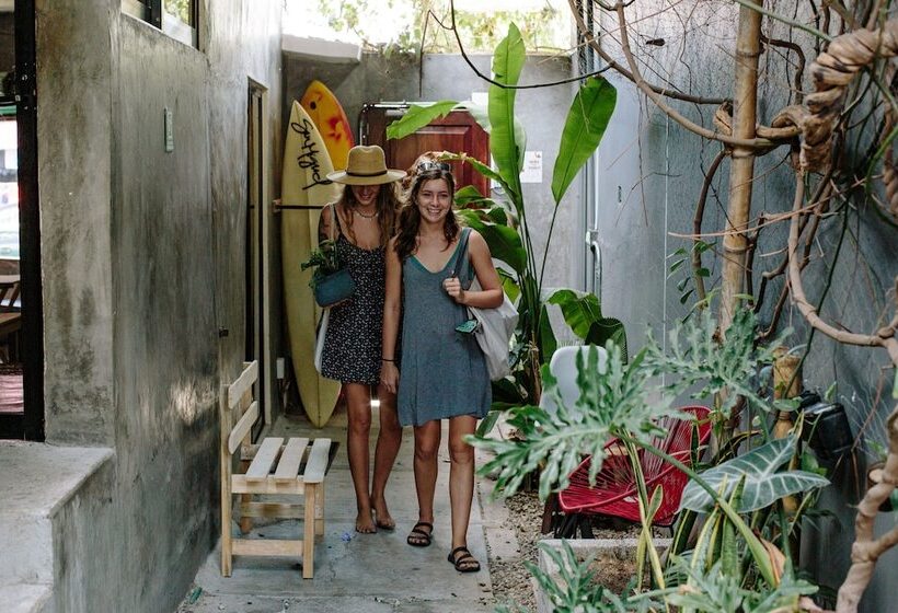 여관 La Escondida H