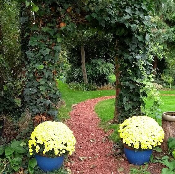 Little Orchard Bed And Breakfast Chichester