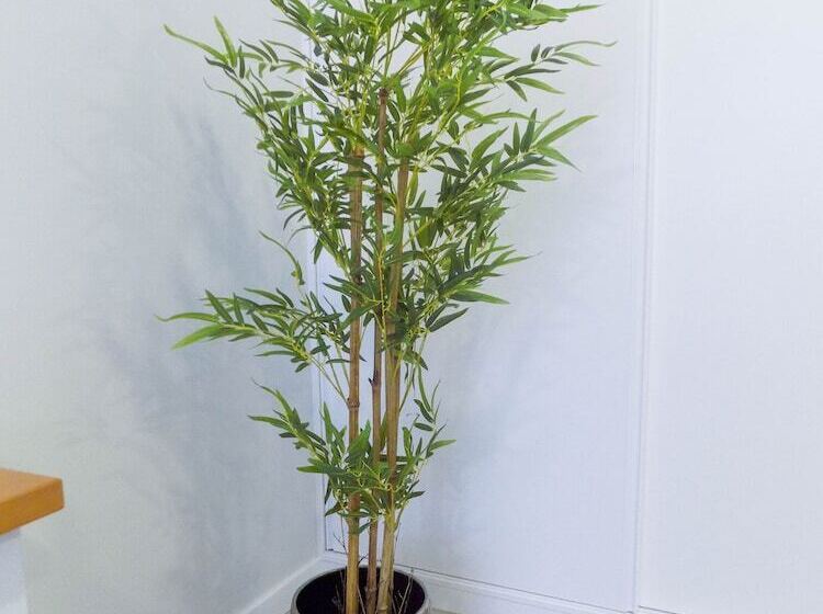 ペンション Dreamscape Villa