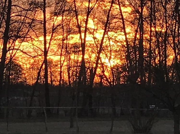 膳宿费 Haus Stenzinger