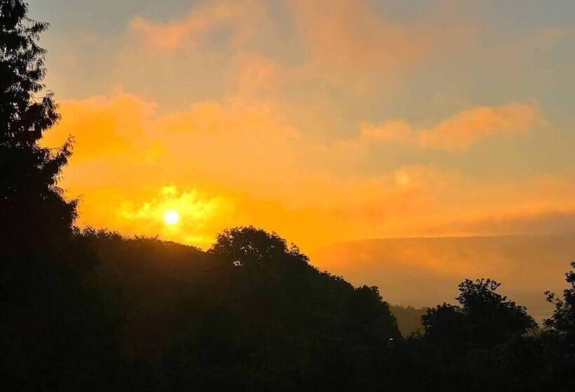 פנסיון Maryhill House