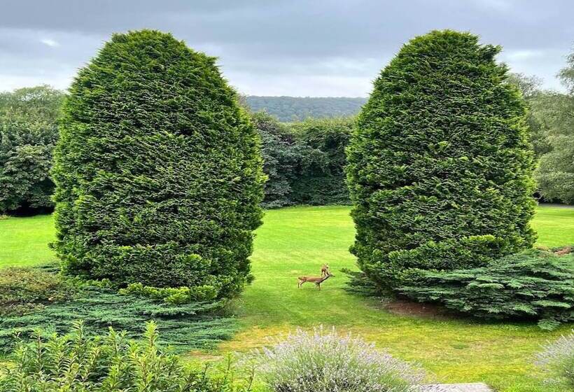 פנסיון Maryhill House