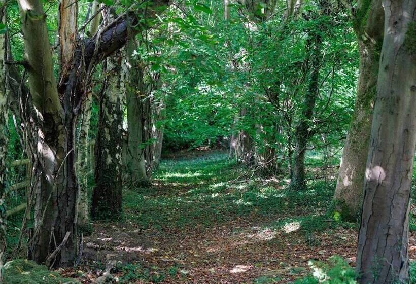 פנסיון Maryhill House