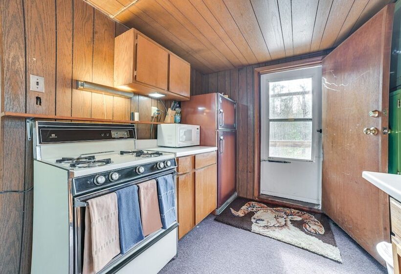 Pet Friendly Alger Cabin   Close To The River!