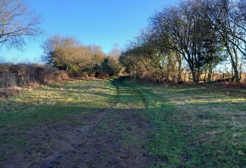 إقامة The Bungalow, Forest Of Dean